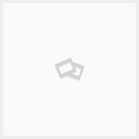 Micro Systems